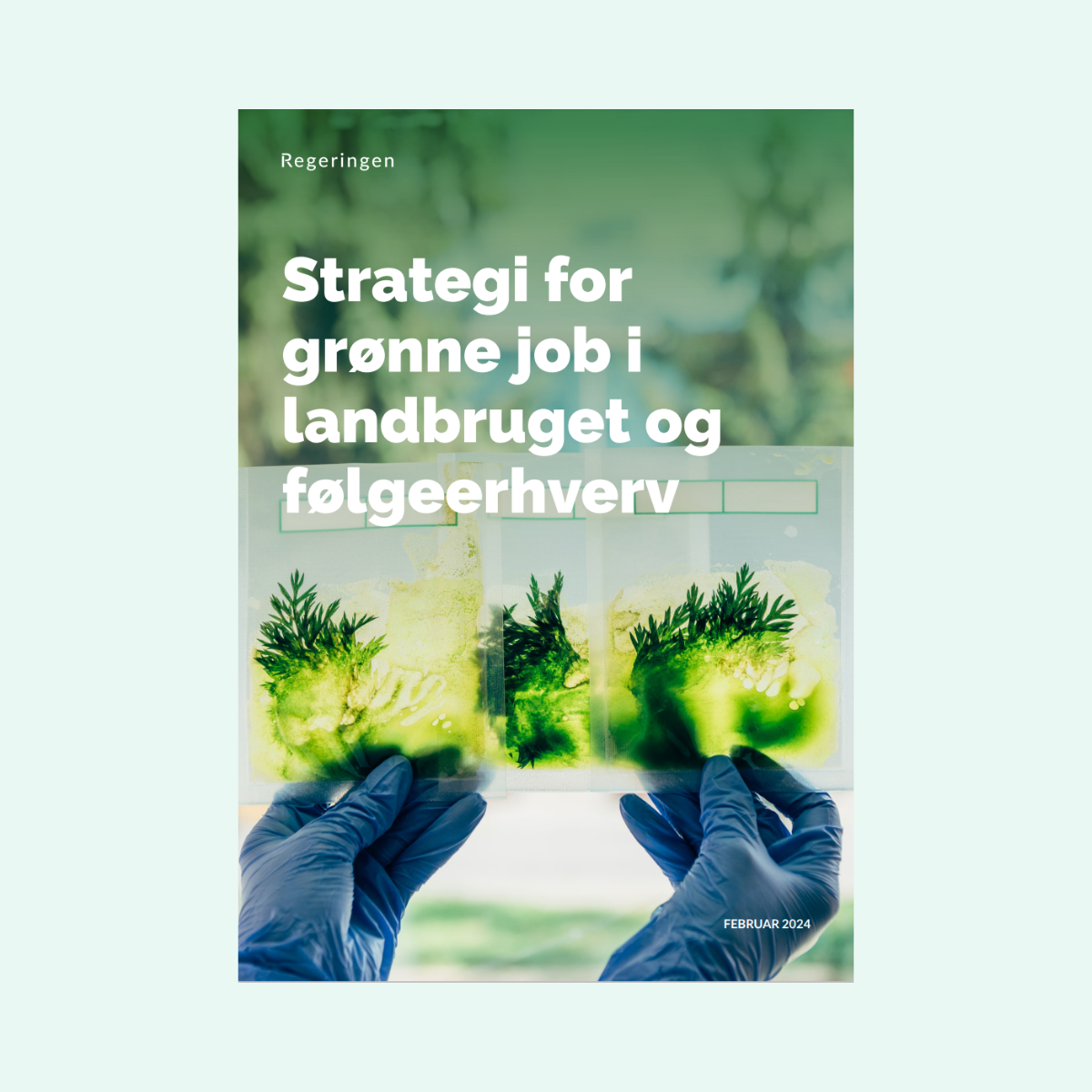 In a Whole-of-Government approach, the Danish government implemented its Strategy for Green Jobs in Agriculture in February 2024. 