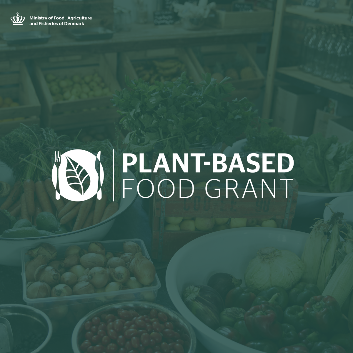 The Danish government funded Plant-Based Food Grant subsidizes the transition to a green economy for land use and food consumption in Denmark by supporting innovative projects. Towards 2030 a total of DKK 675 million is available for green project upon application. 