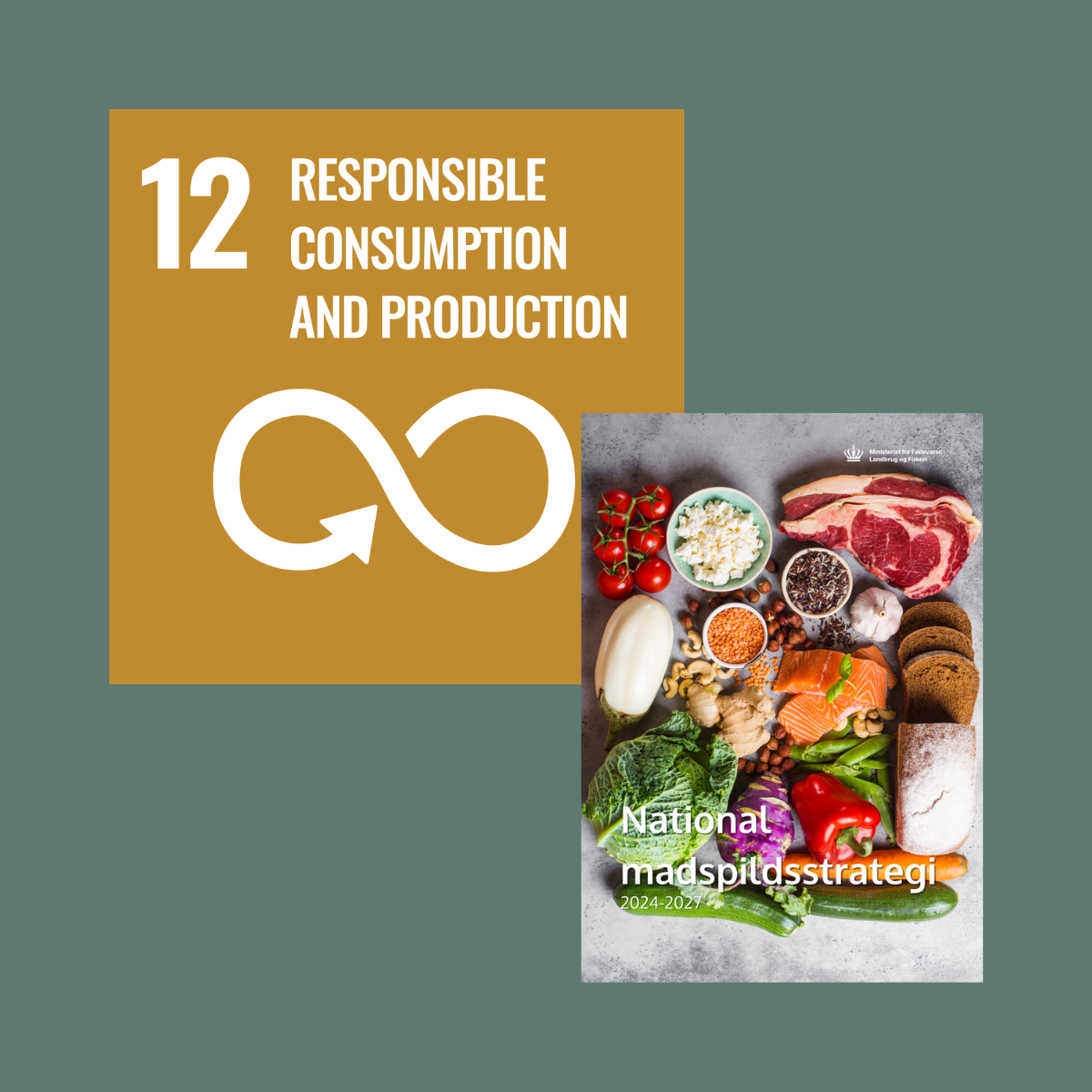 Food insight - Strategy for Reducing Food Waste