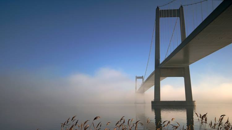 Step by step guide to opening a business in Denmark