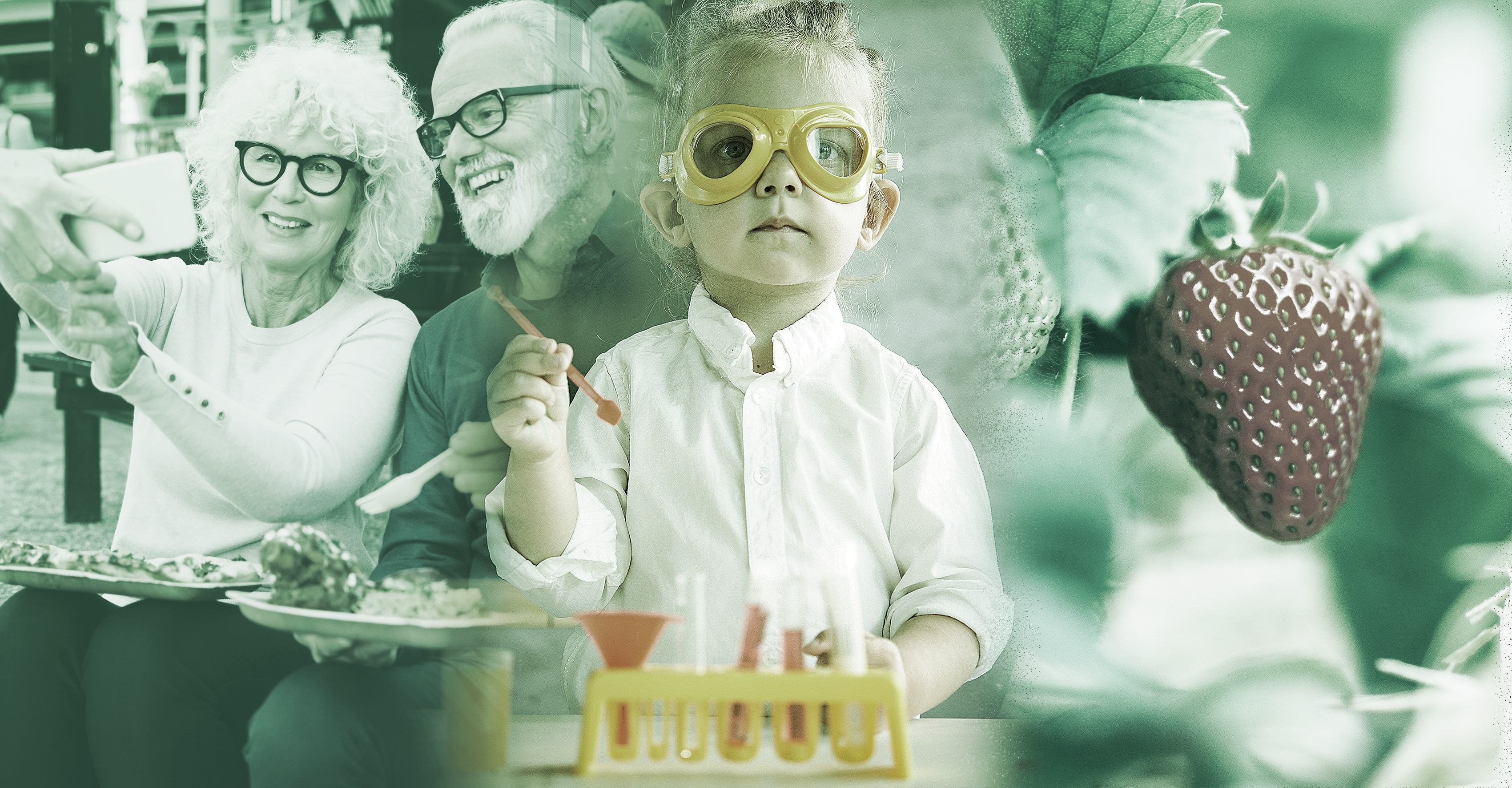 Food ingredients in Denmark