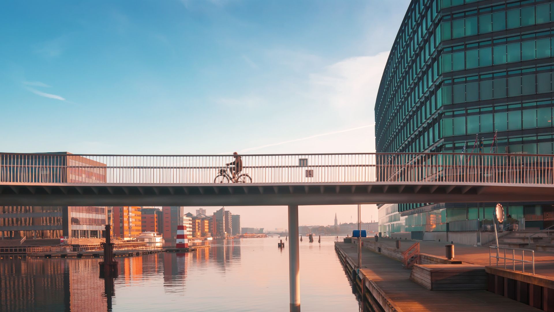 How to establish a business in Denmark topbanner