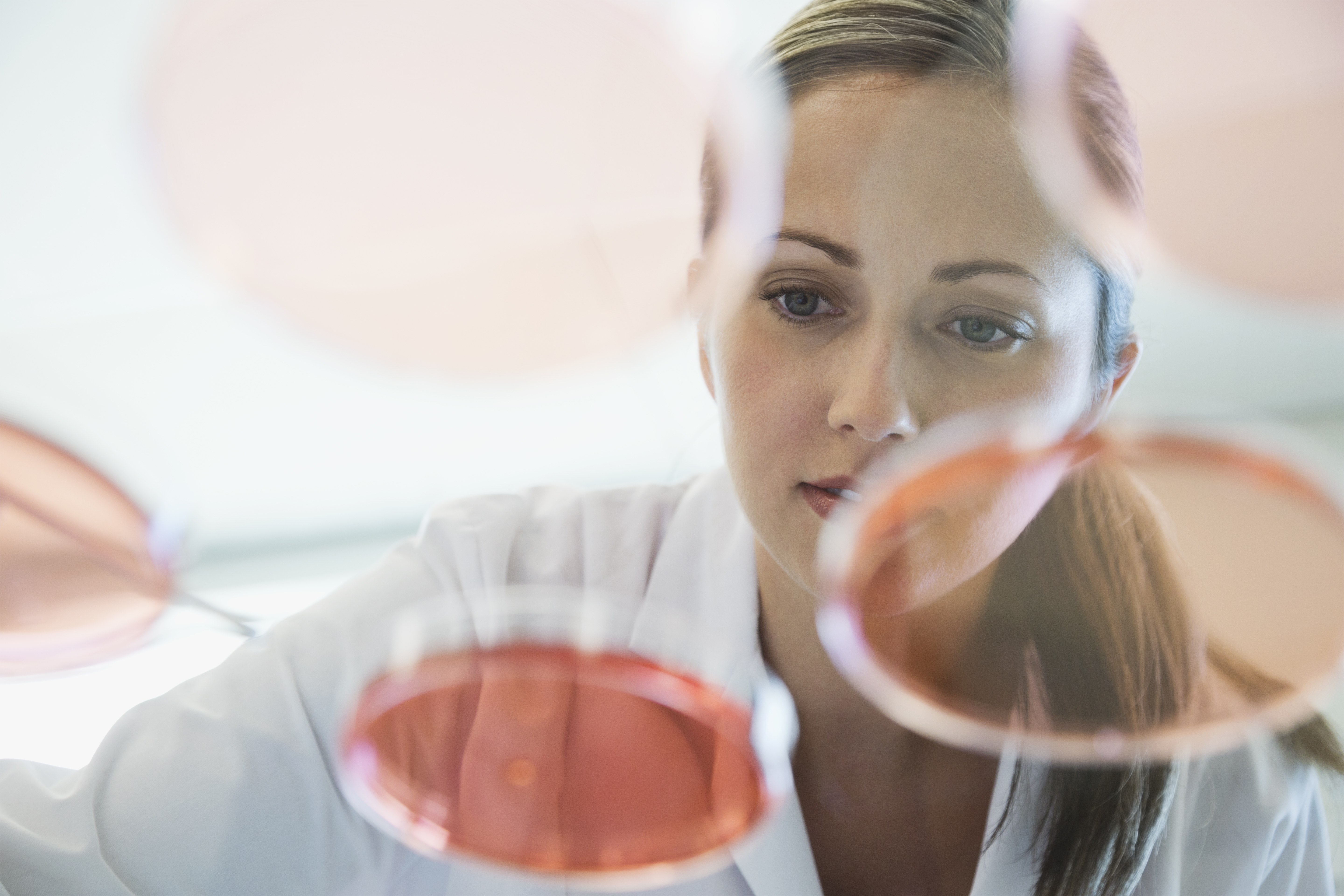 Femal scientist analyzing chemicals