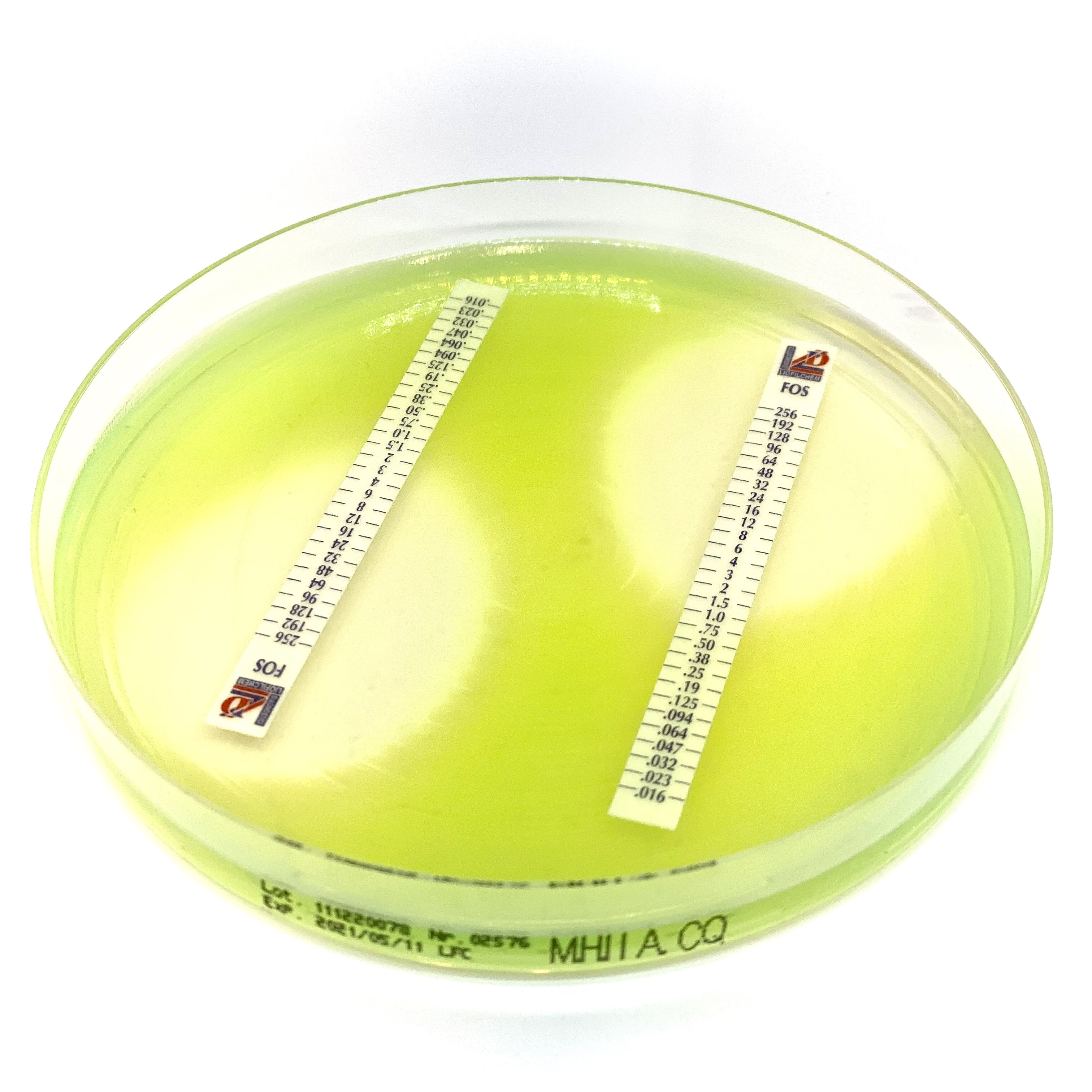 Italian company Liofilchem has embarked on an exciting new chapter by establishing an office in Denmark to cover the Nordic region.