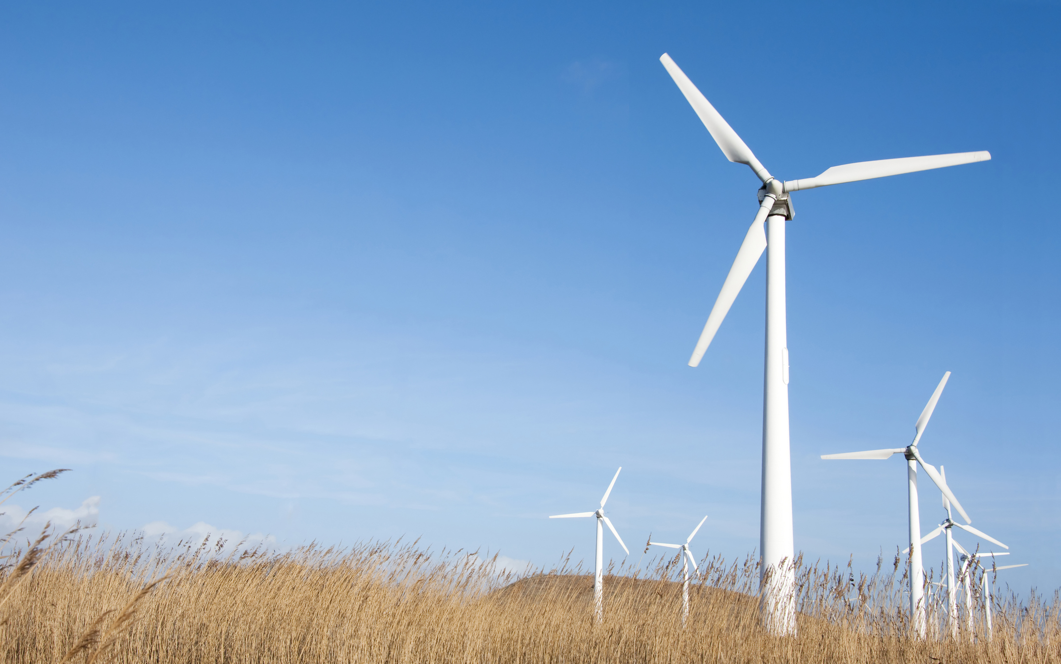 From Down Under to Denmark: Released Energy Fuels Green Innovation Abroad