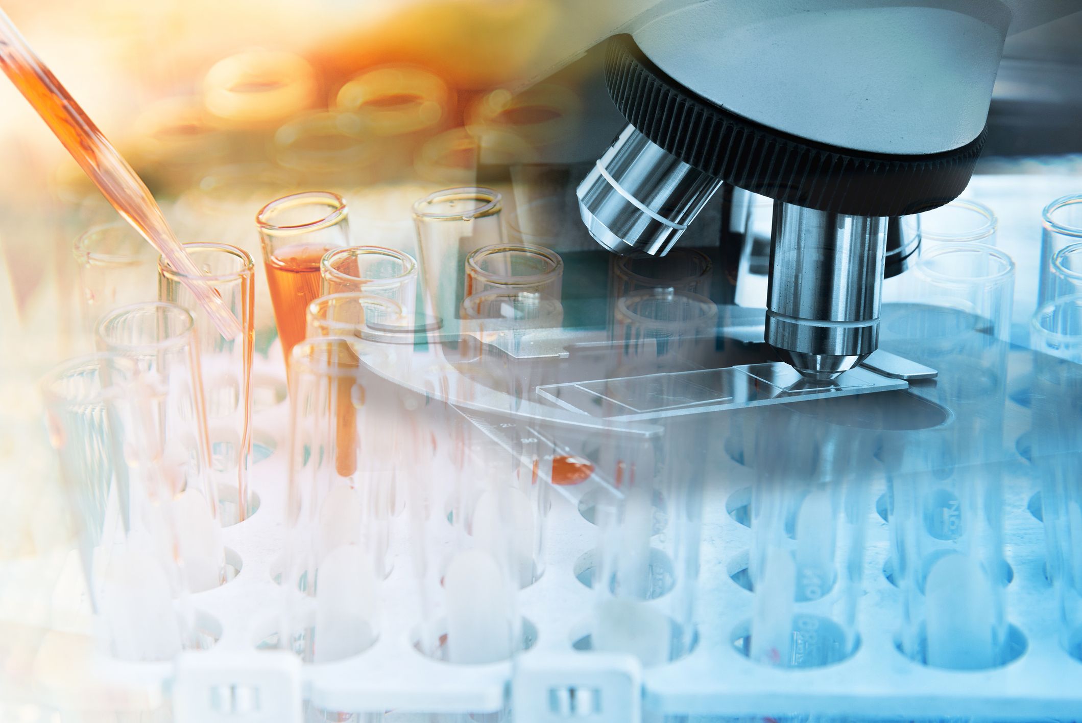 Research in microbiology and infectious diseases move to highest international level with donation for new state-of-the-art laboratories