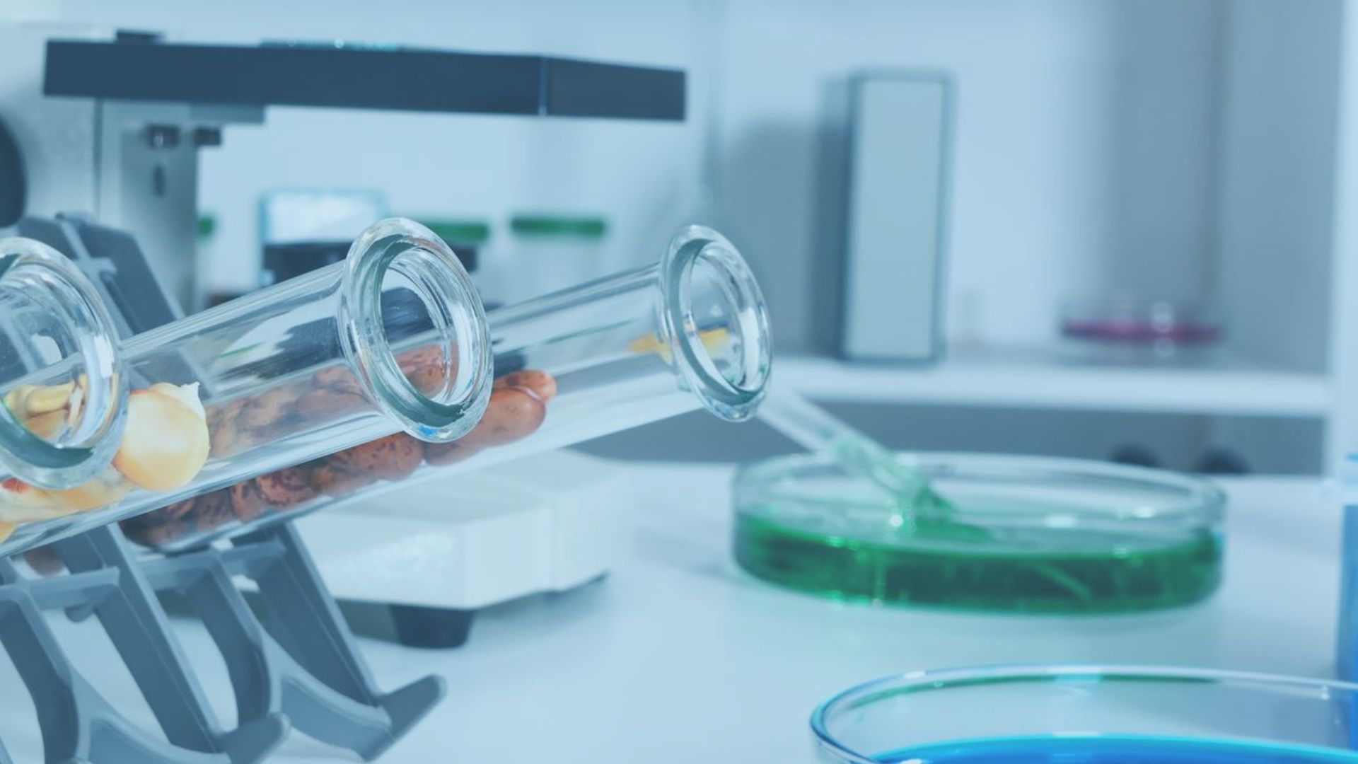 Meet Invest in Denmark at SynBioBeta 2024