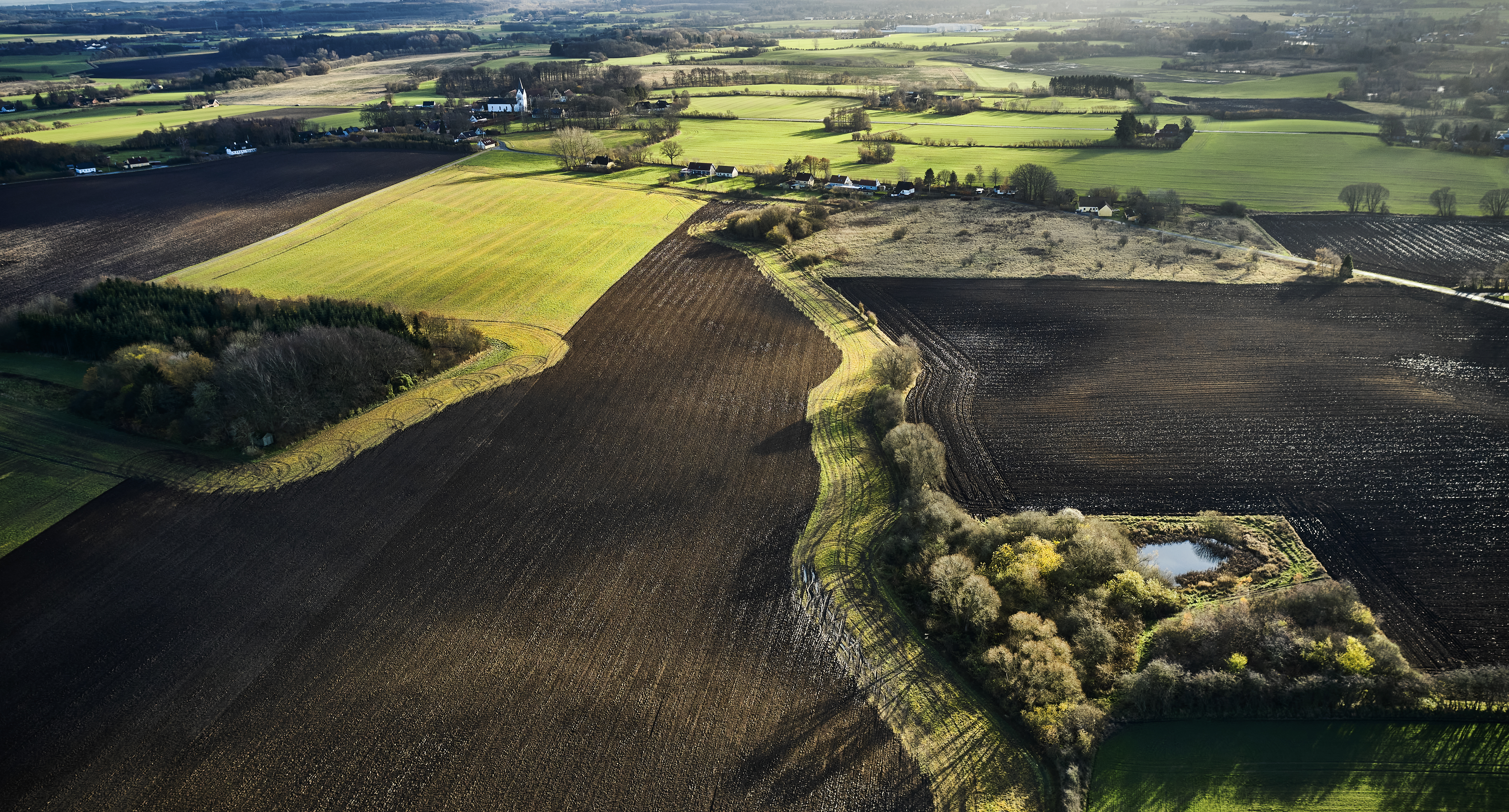 Black Bull Biochar has set up its Nordic Headquarters in Denmark, with plans to start building its first Danish biochar production plant and scale across the Nordics.