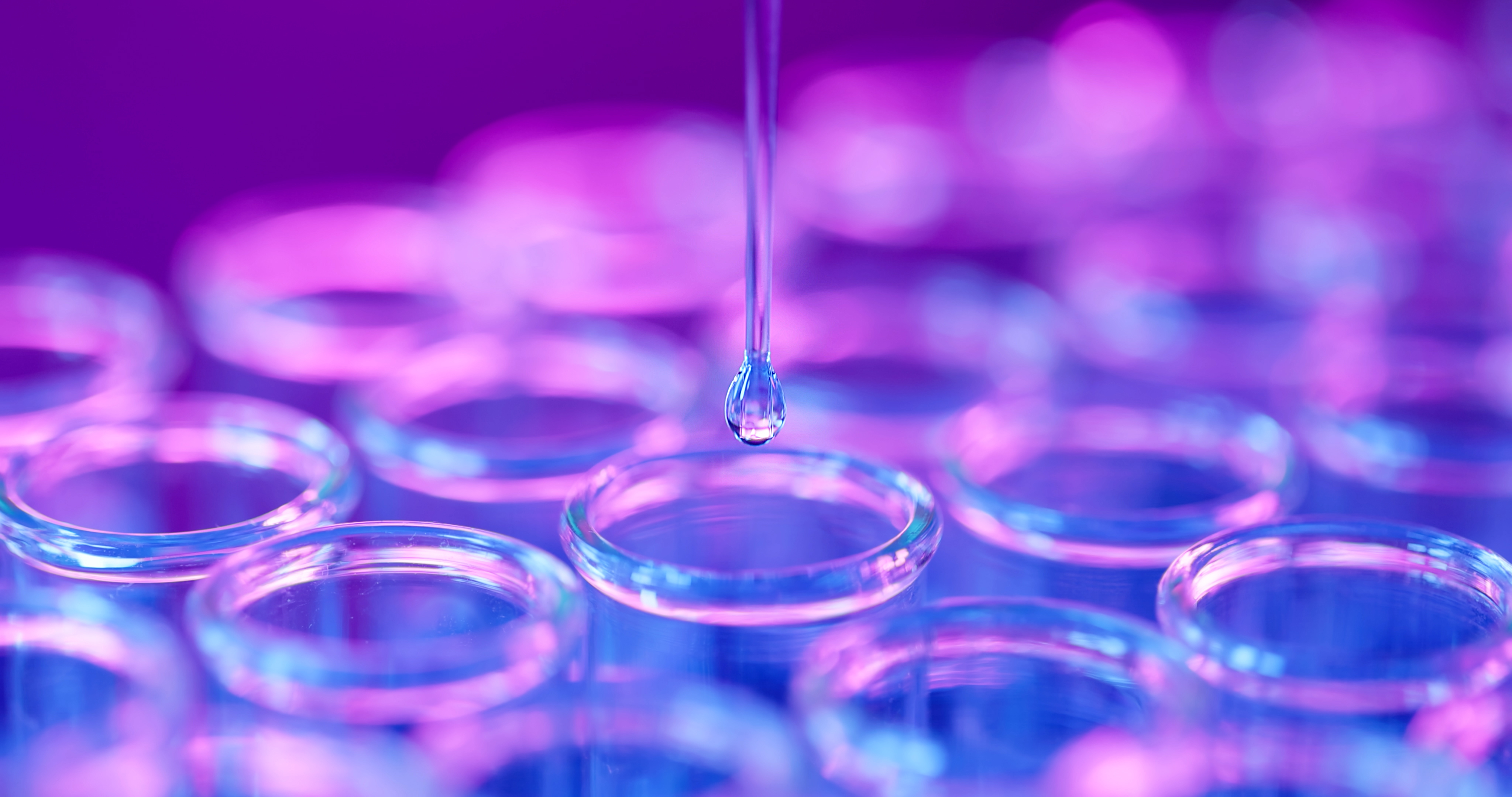 MSD – one of the leading investors in clinical research in Denmark