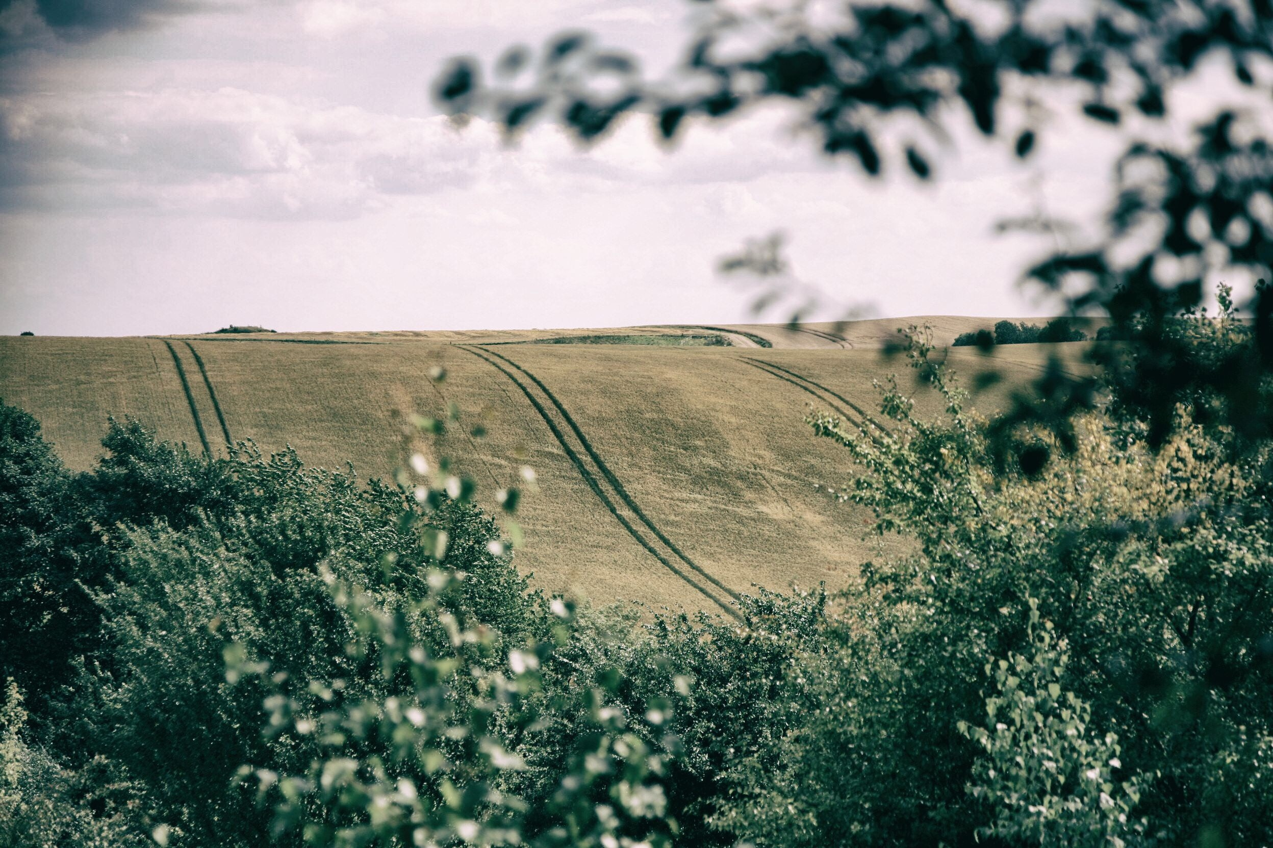 Scenic view of field against sky in Denmark