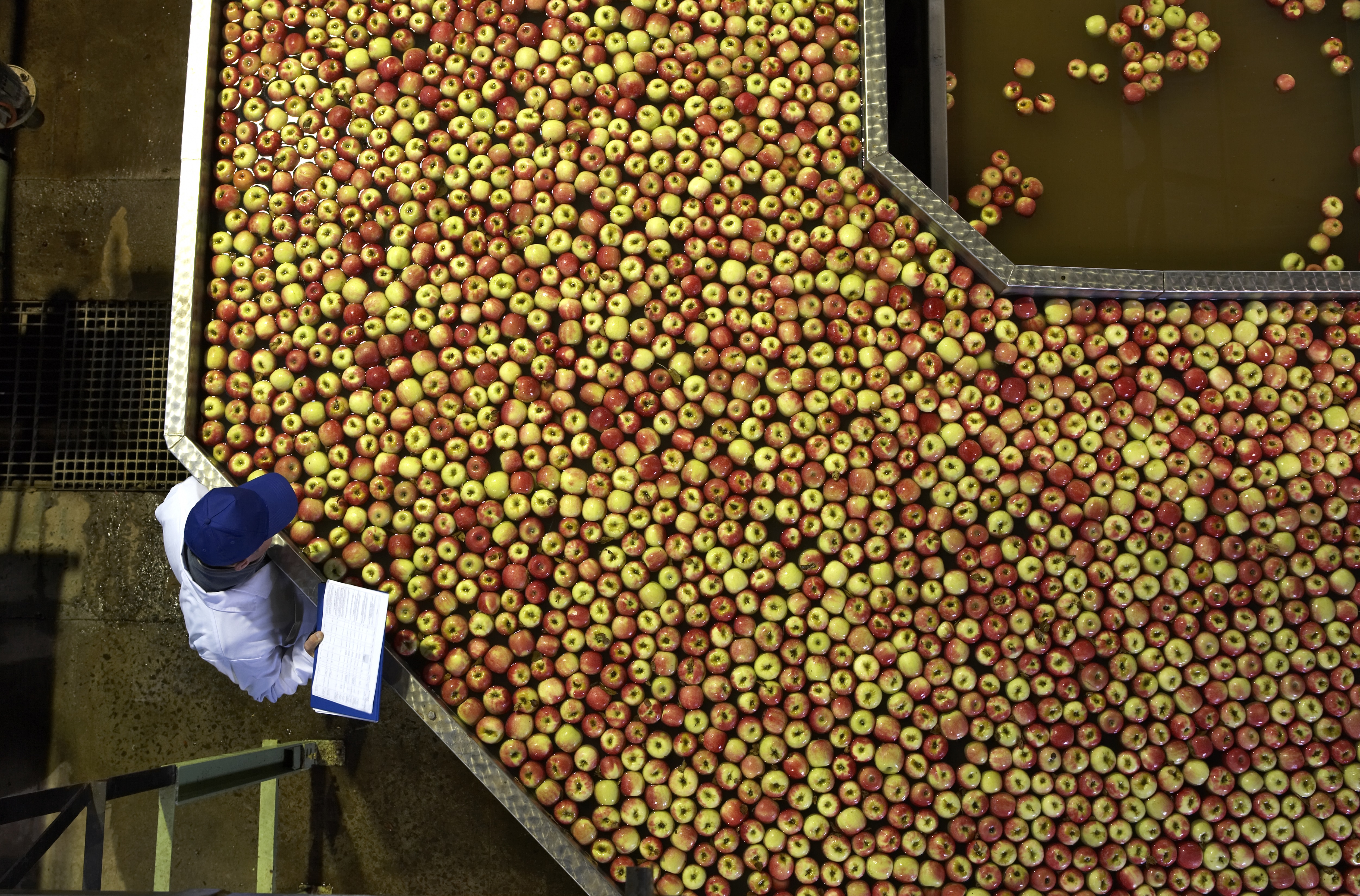 Elevated view of apple processing factory
