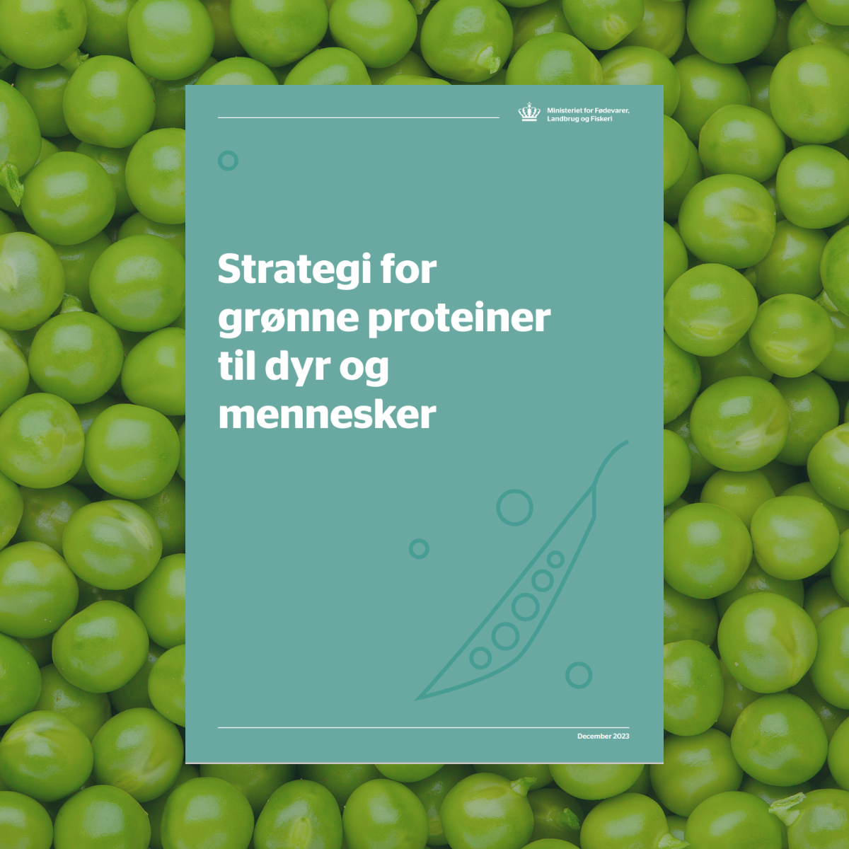 The main focus of the Strategy for Green Proteins is to increase the production of sustainable green protein in Denmark for animal and human consumption. The strategy aims to increase the domestic production of proteins, primarily legumes, remove barriers for introduction of new green proteins, e.g. from bio-refined grass, as well as encourage consumers to eat more green. 
