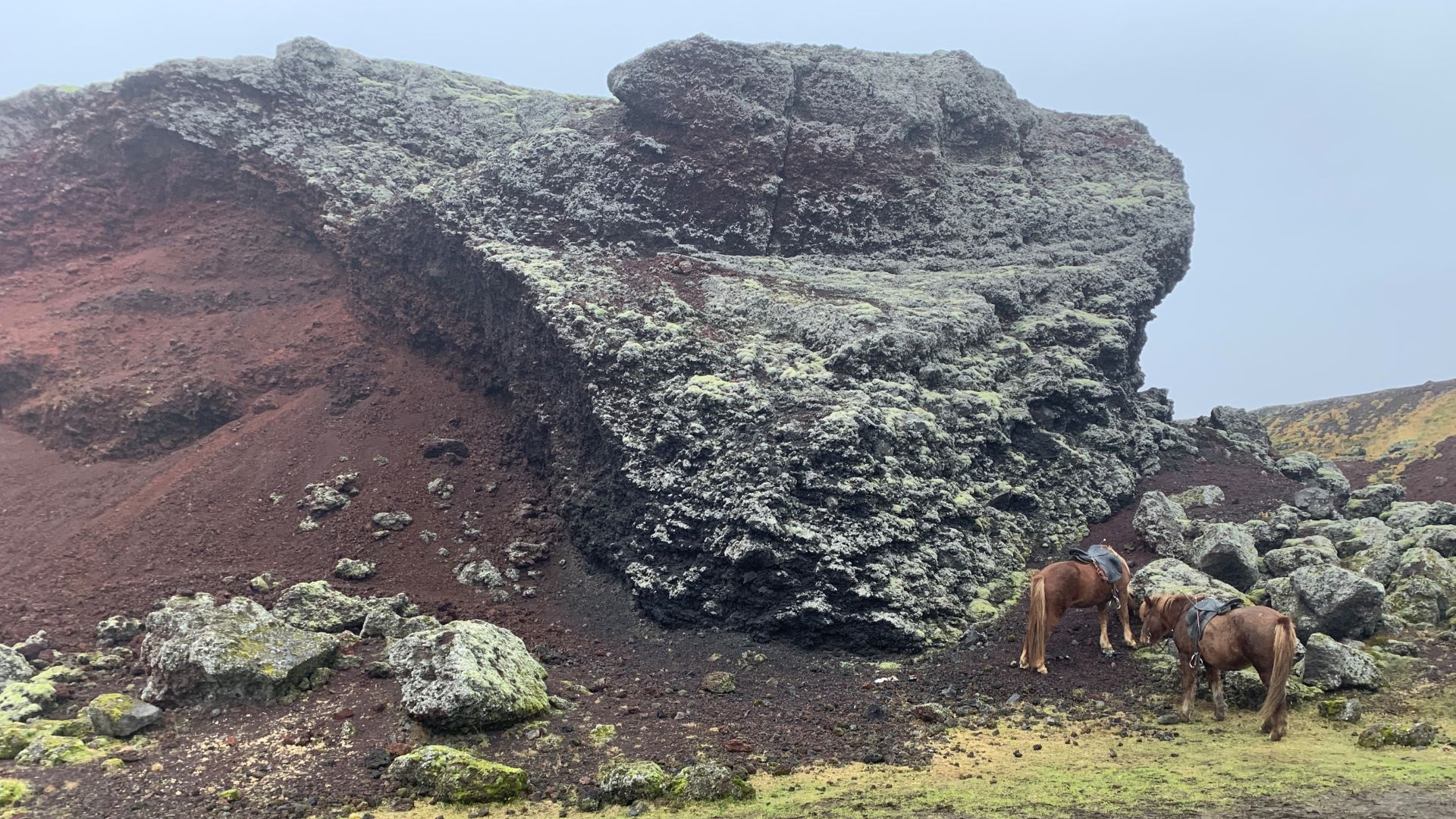 Iceland Innovation Week 2024