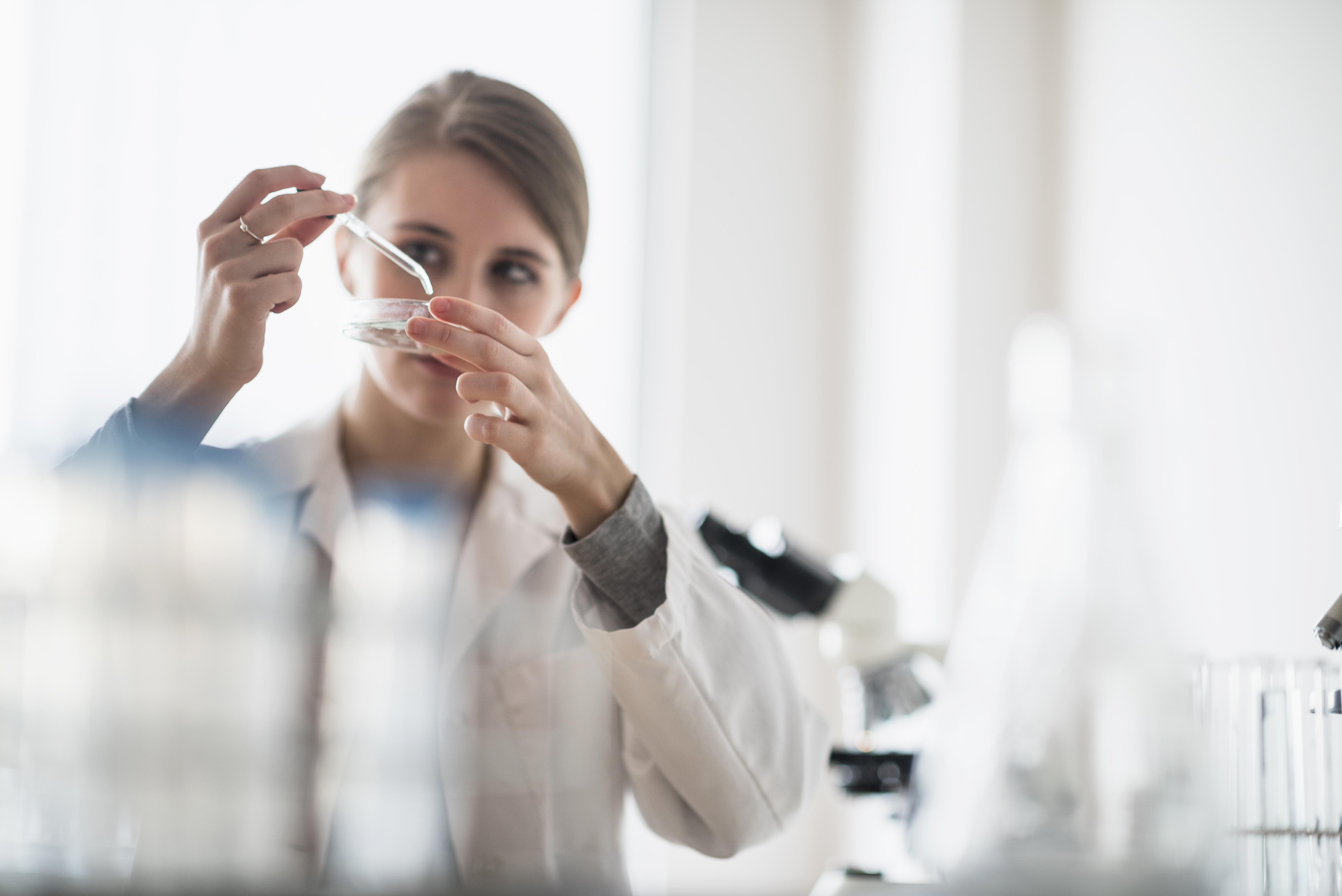 Scientist working in the lab