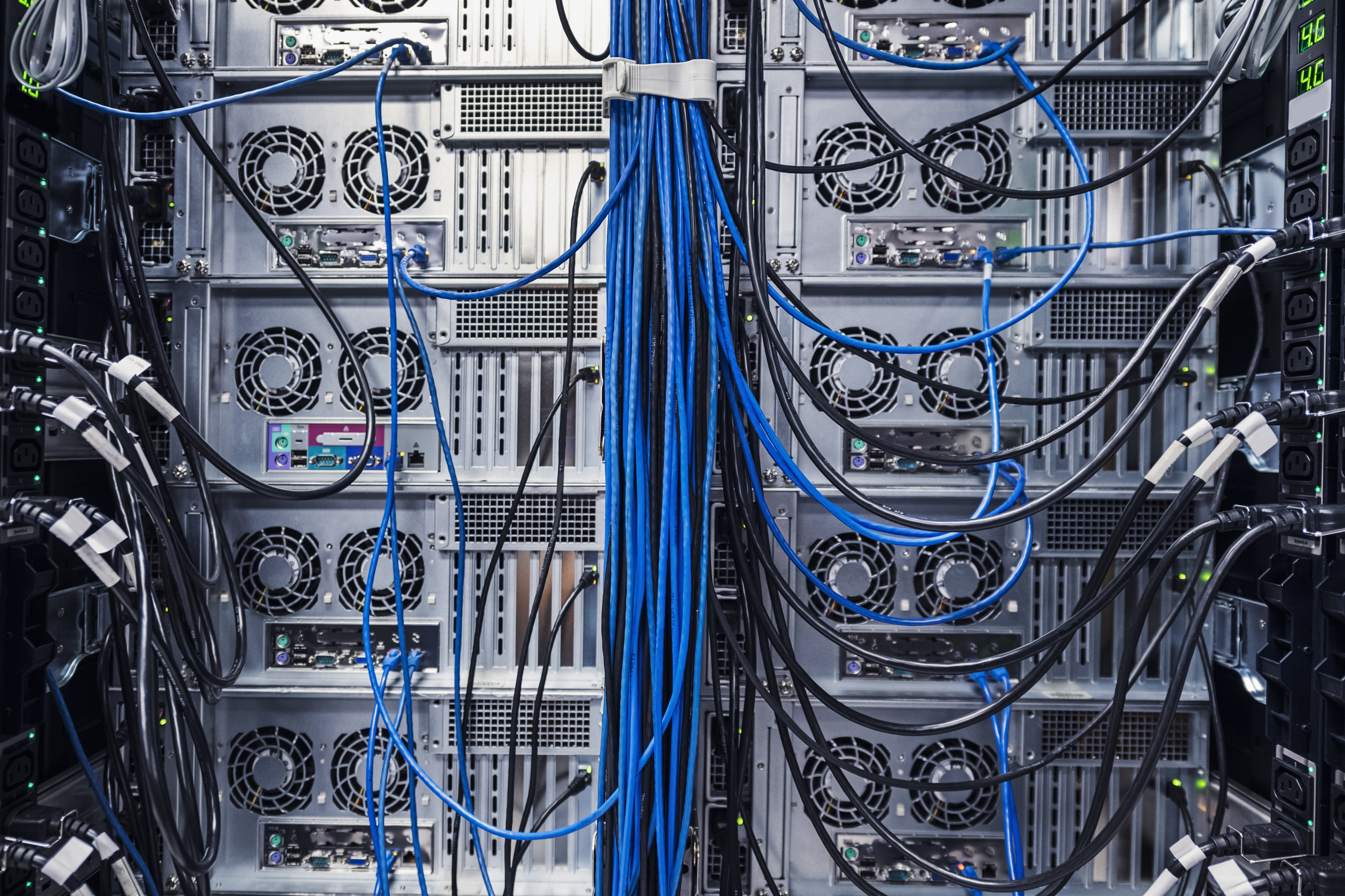 Blue and black cords in server