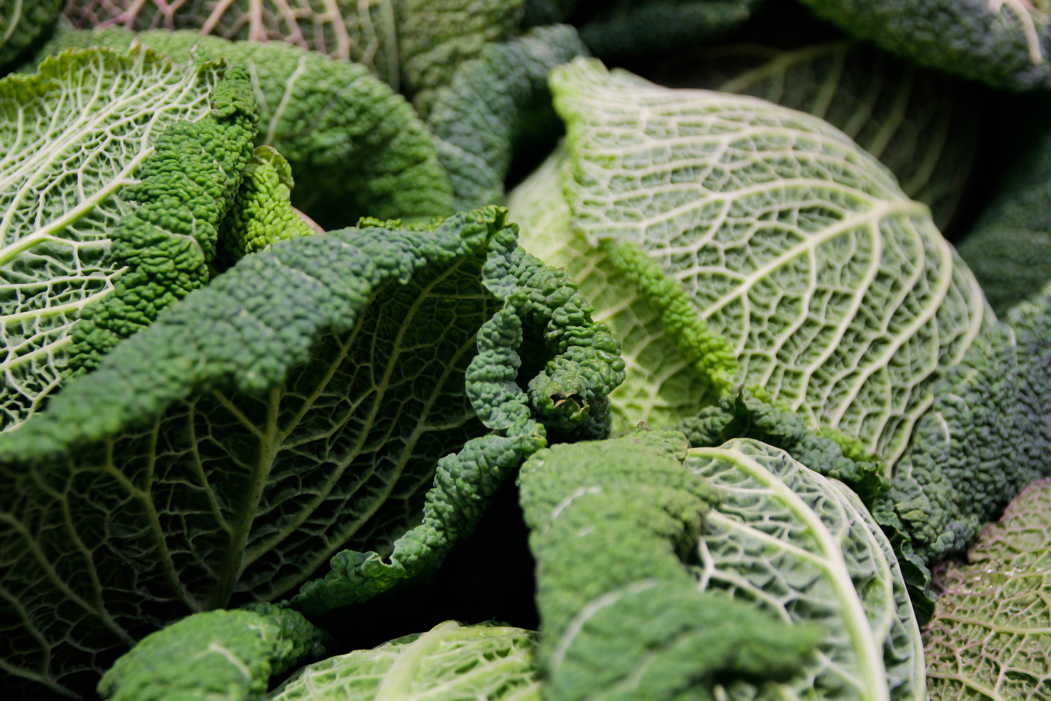 Plant-based - Invest in Denmark