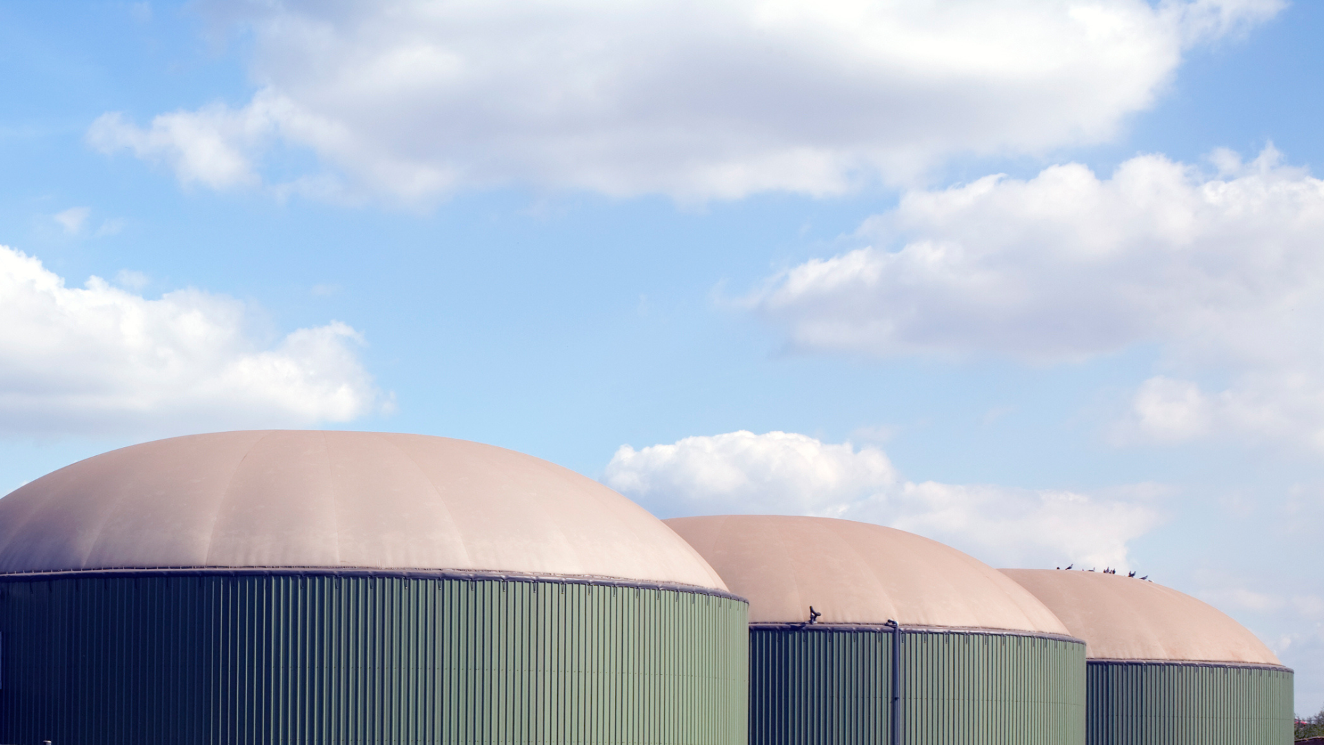 French Enosis chooses Denmark to scale green gas innovation