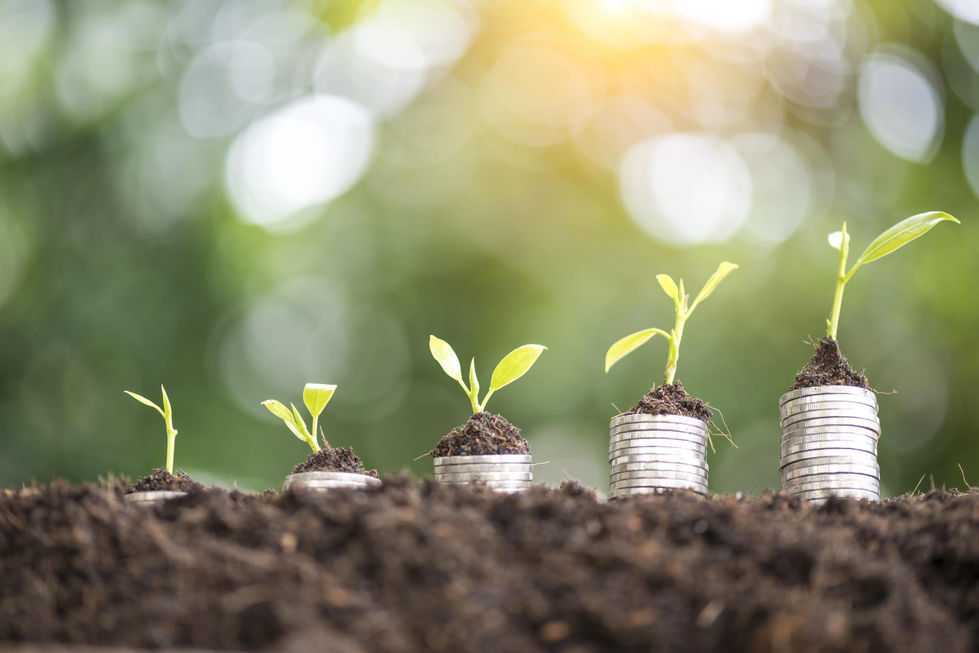 Fødevaresektoren får danske forretninger til at spire med eksport til hele verden