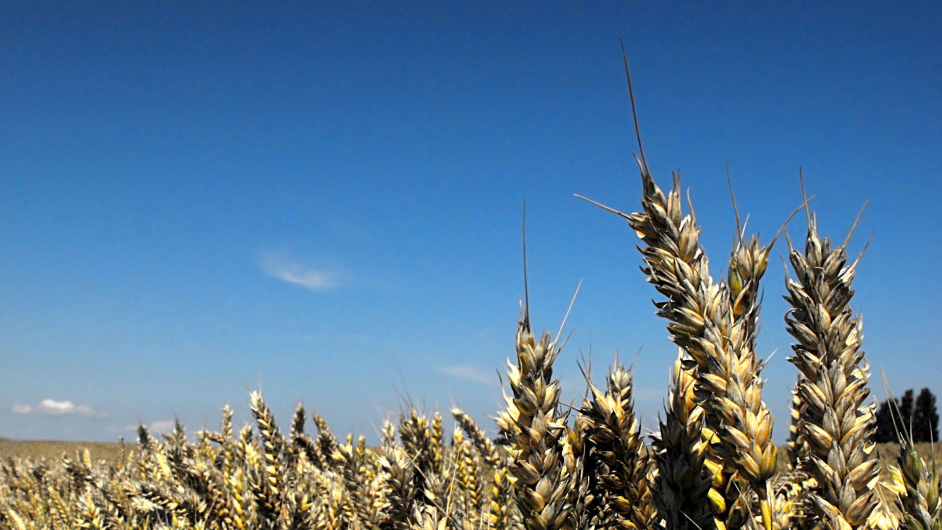 Farm to Plate: new member joining Agro Food Park!