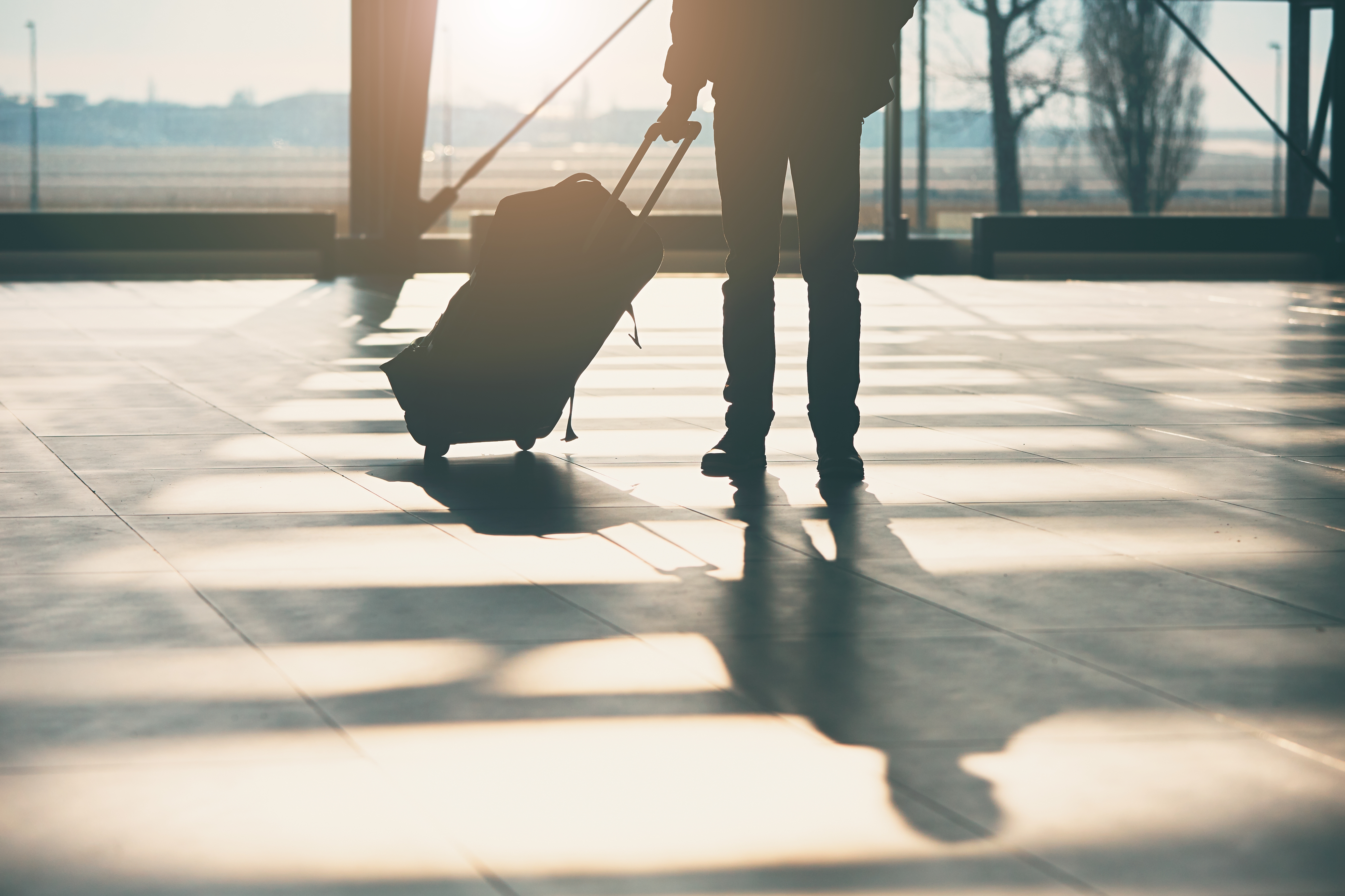 Businessman with luggage standing in Copenhagen Airport