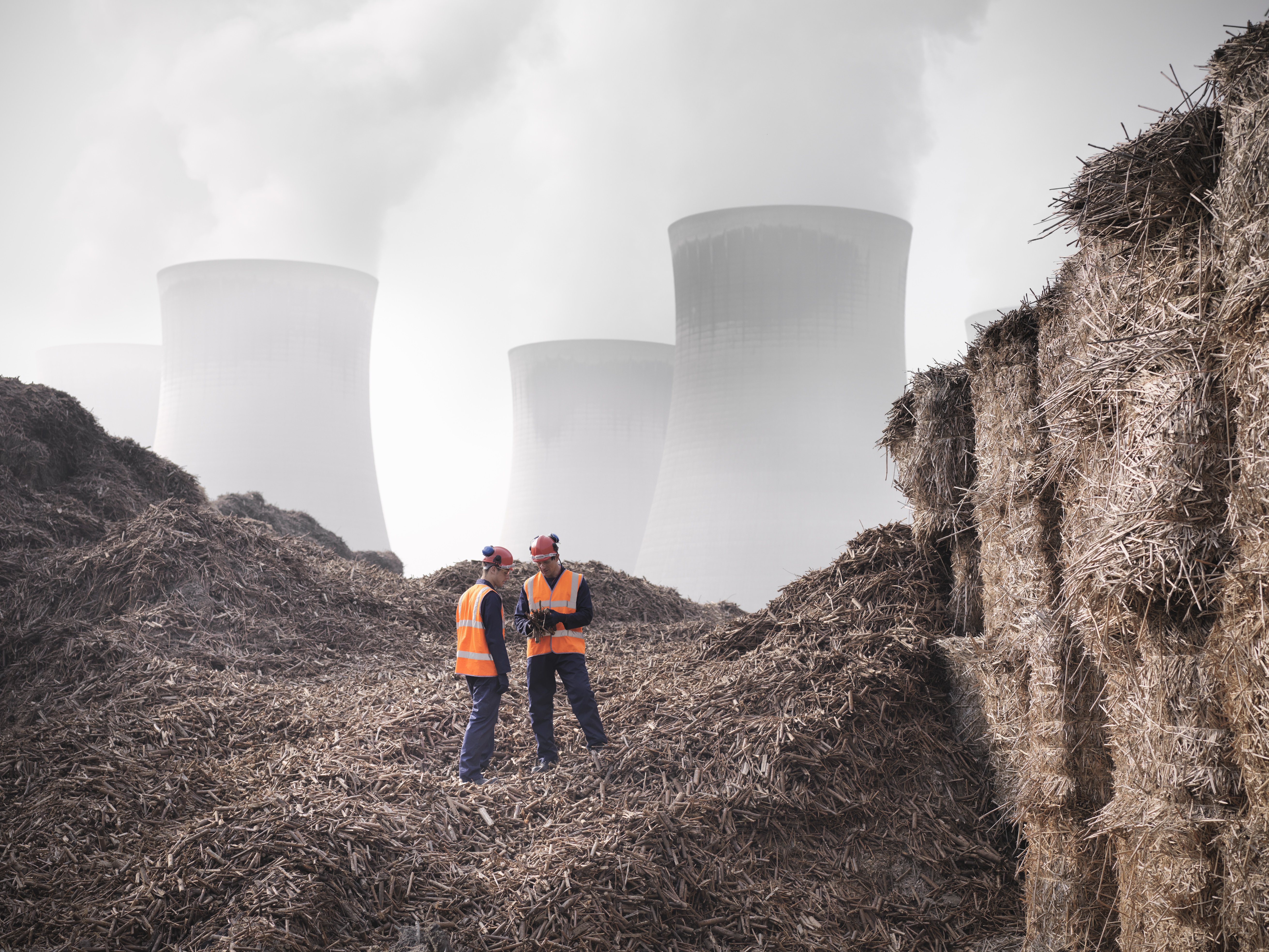 Workers handling biomass fuel