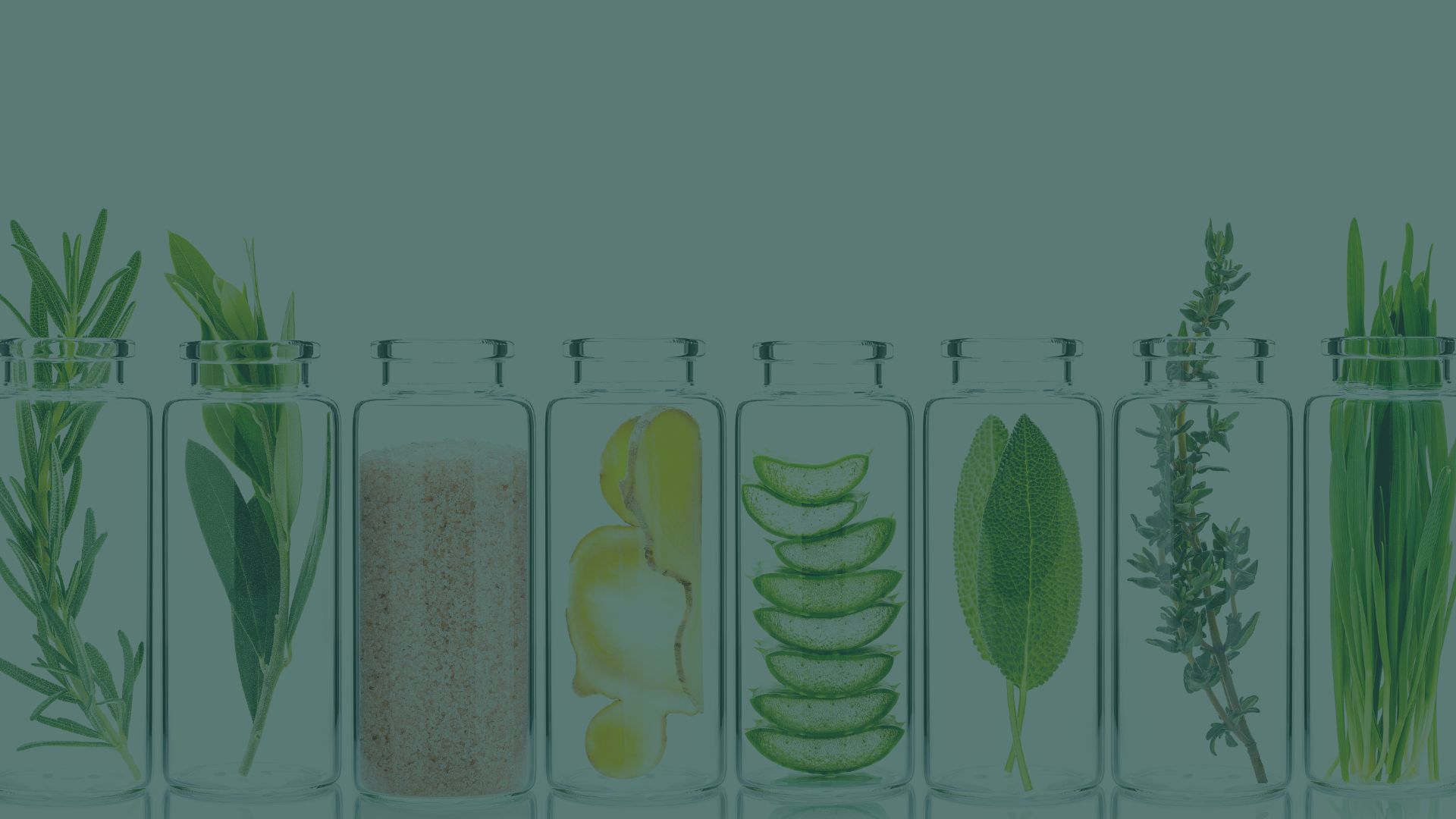 Meet Invest in Denmark at Hi-Korea 2024!