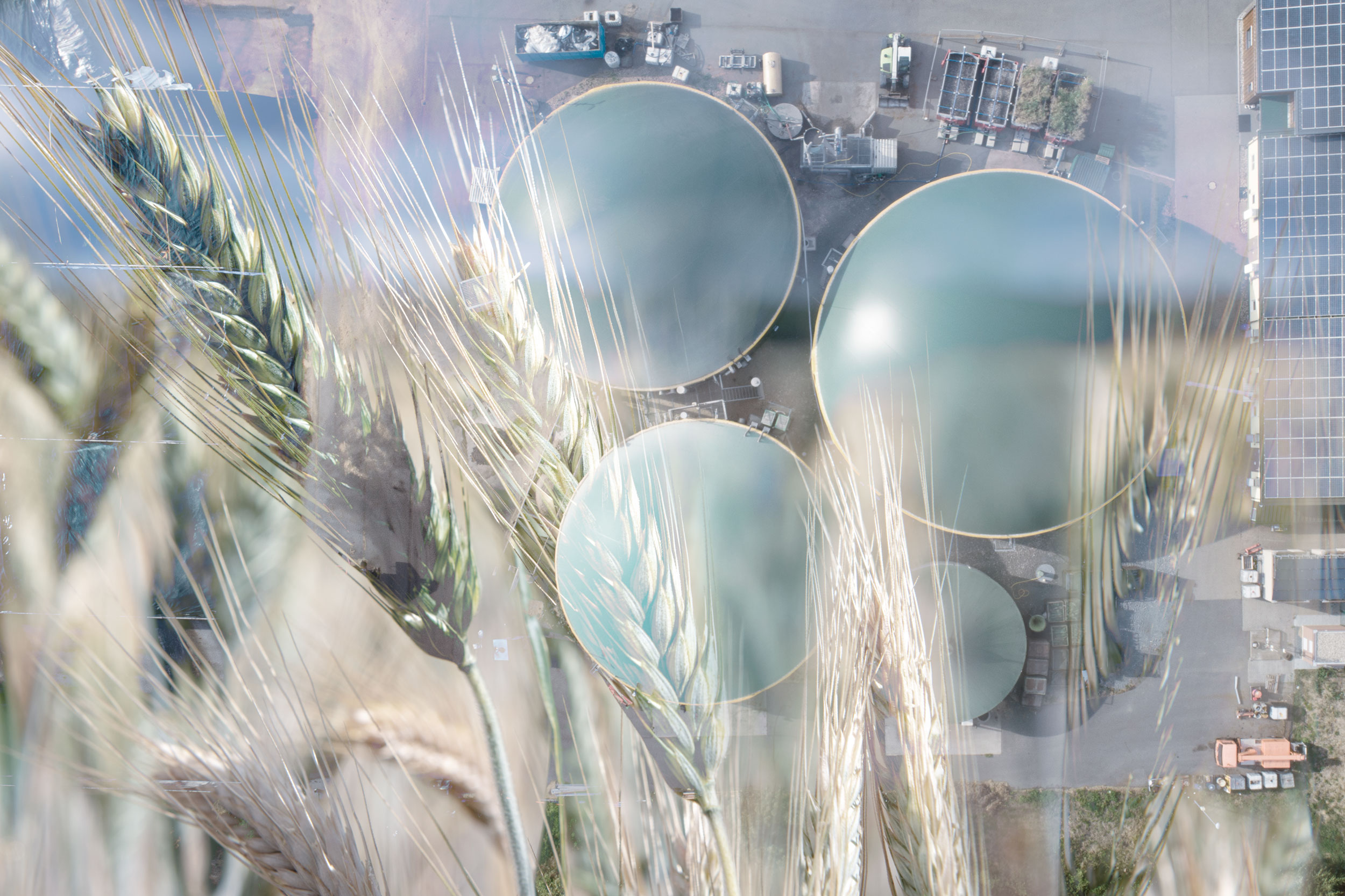 Bioenergy opportunities in Denmark