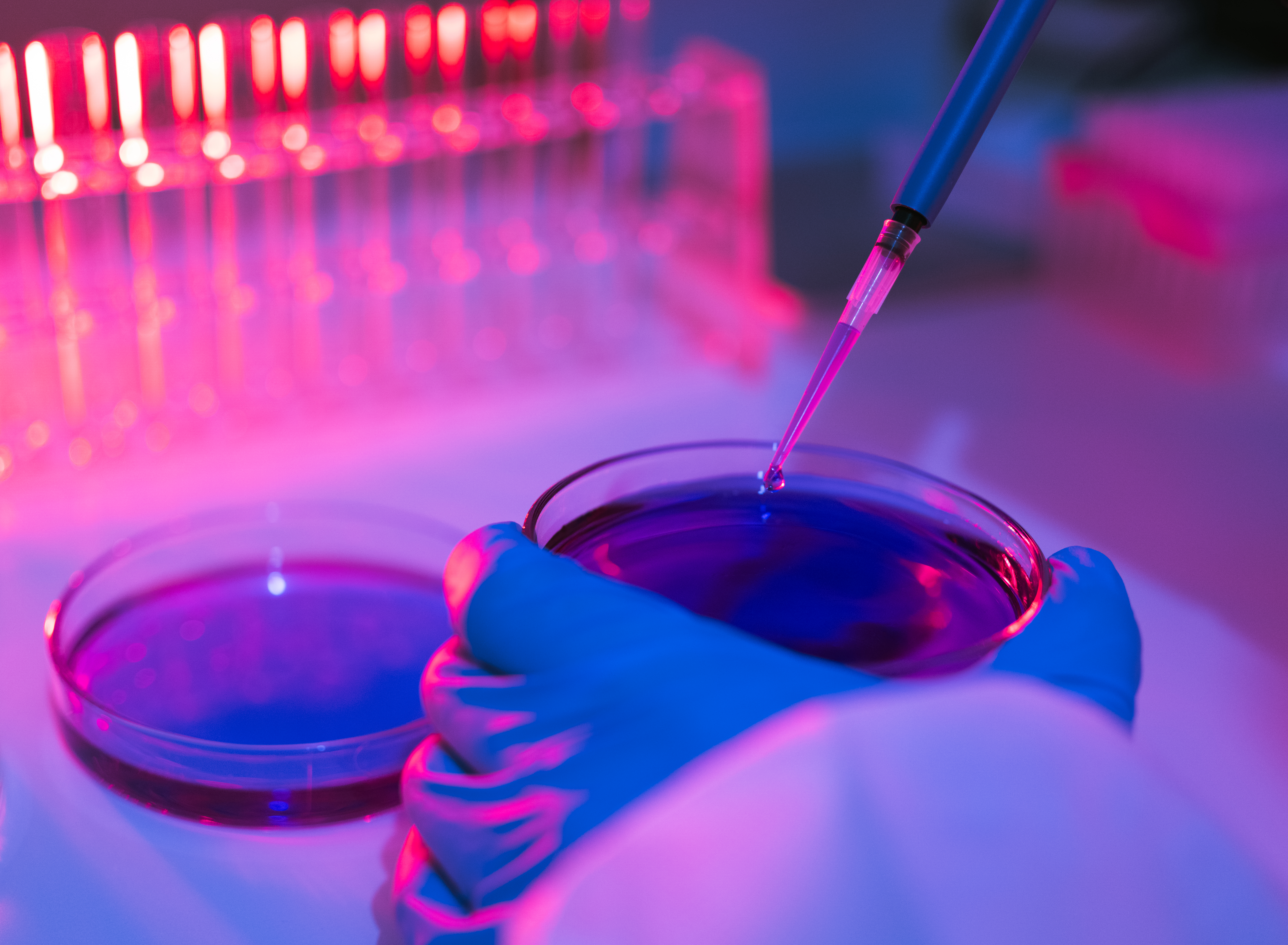 Join Invest in Denmark at LSX World Congress 2025