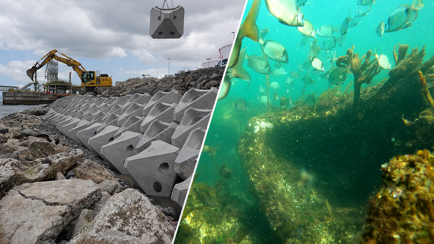 ECOncrete is setting up a Nordic office in Denmark